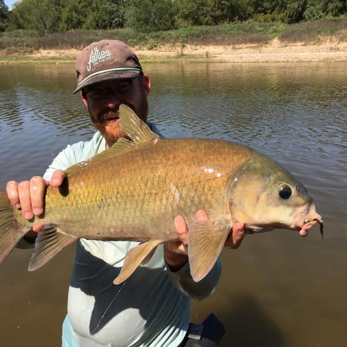 Brazos River Luxury Overnight In Granbury