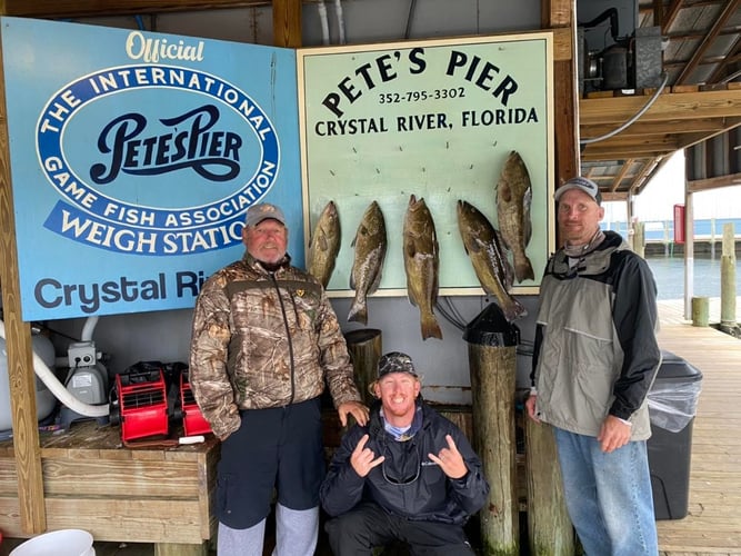 Shallow Water Grouper Trip In Crystal River