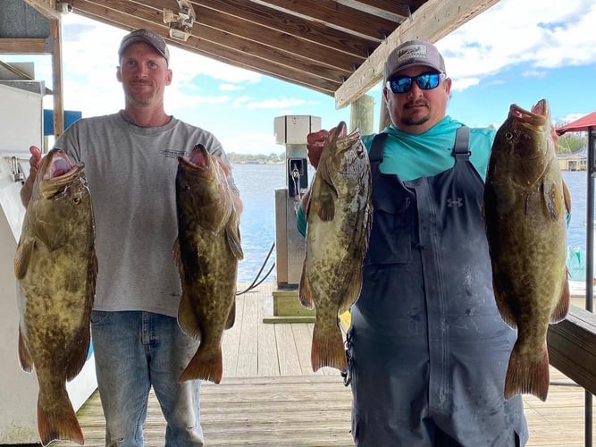 Shallow Water Grouper Trip In Crystal River