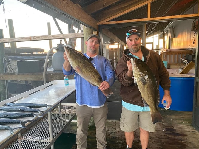 Shallow Water Grouper Trip In Crystal River