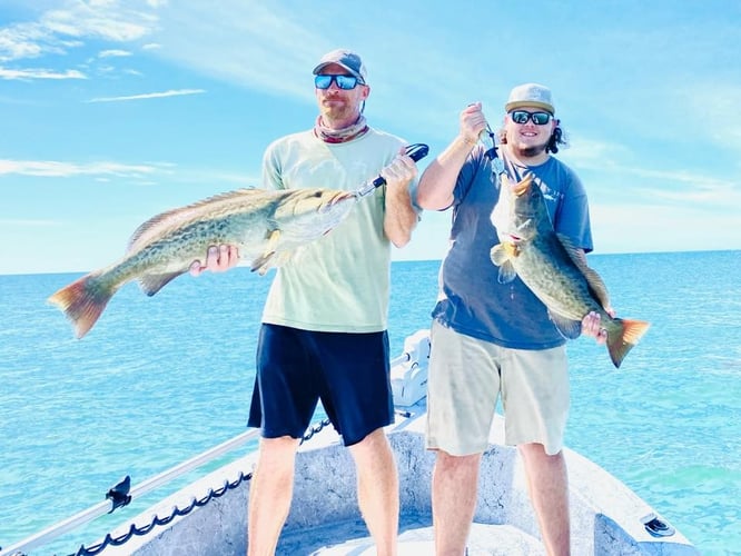 Shallow Water Grouper Trip In Crystal River