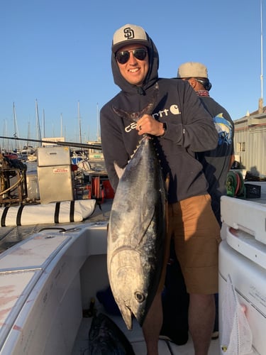 San Diego Champion Bluefin Adventure