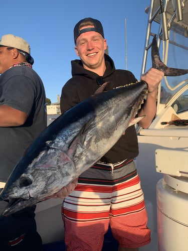 San Diego Champion Bluefin Adventure