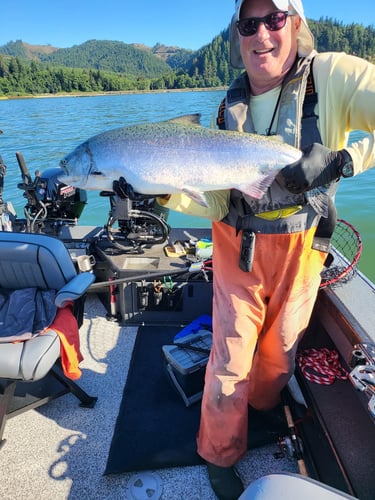 Spring And Fall Salmon & Steelhead In Warren