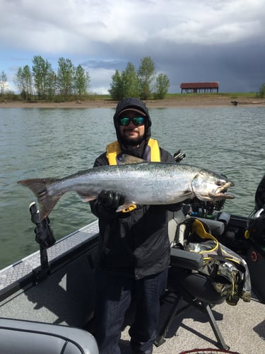 Spring And Fall Salmon & Steelhead In Warren