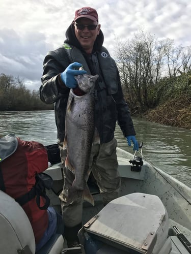 Spring And Fall Salmon & Steelhead In Warren