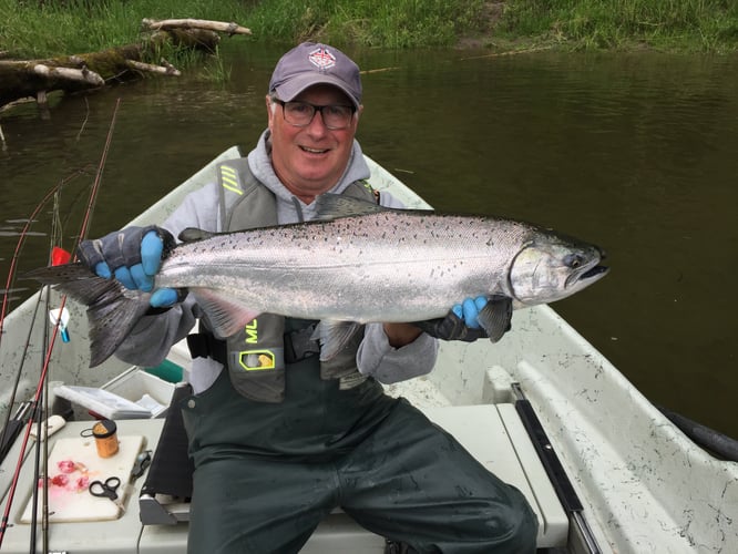 Spring And Fall Salmon & Steelhead In Warren