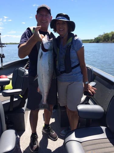 Spring And Fall Salmon & Steelhead In Warren