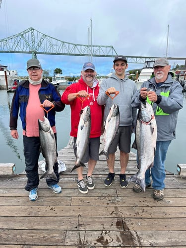 Spring And Fall Salmon & Steelhead In Warren