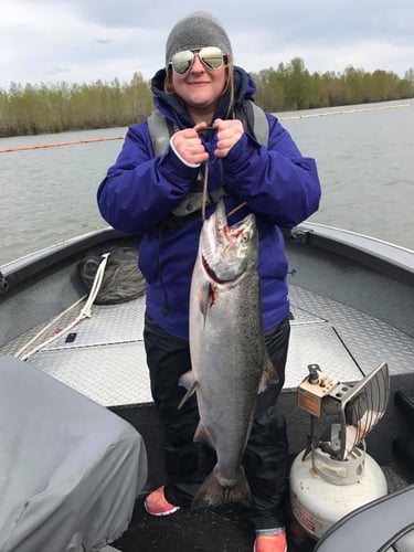 Spring And Fall Salmon & Steelhead In Warren