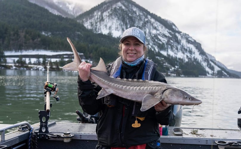 Sturgeon Catch And Release Trip In Warrenton