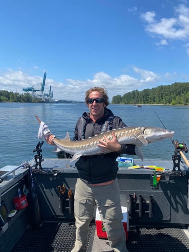 Sturgeon Catch And Release Trip In Warrenton