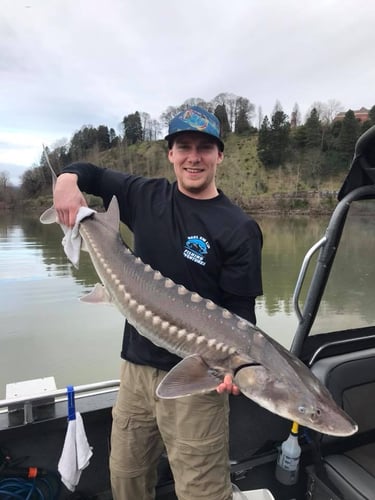 Sturgeon Catch And Release Trip In Warrenton