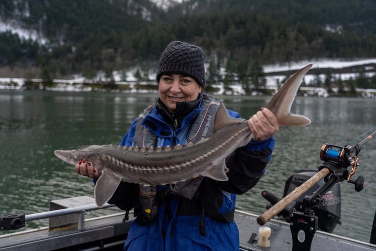 Sturgeon Catch And Release Trip In Warrenton