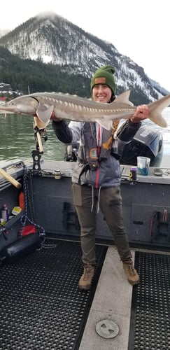 Sturgeon Catch And Release Trip In Warrenton