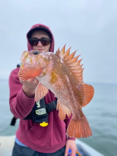 Salmon, Bottom Fishing & Crab Pots In Hubbard