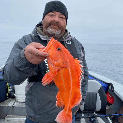 Salmon, Bottom Fishing & Crab Pots In Hubbard
