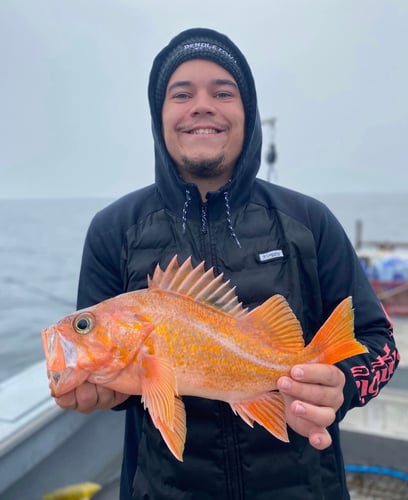 Salmon, Bottom Fishing & Crab Pots In Hubbard