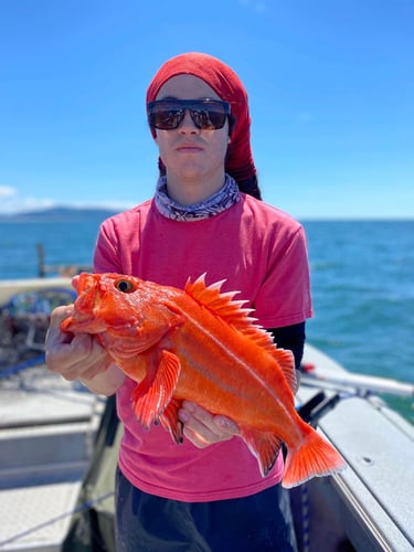Salmon, Bottom Fishing & Crab Pots In Hubbard