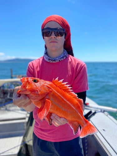 Salmon, Bottom Fishing & Crab Pots In Nehalem