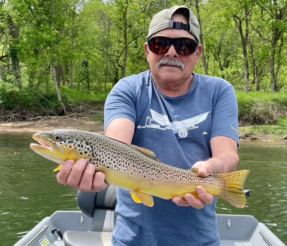 White River Fly Fishing In Cotter