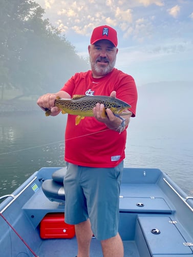 White River Fly Fishing In Cotter