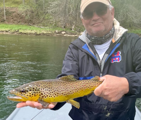 White River Fly Fishing In Cotter