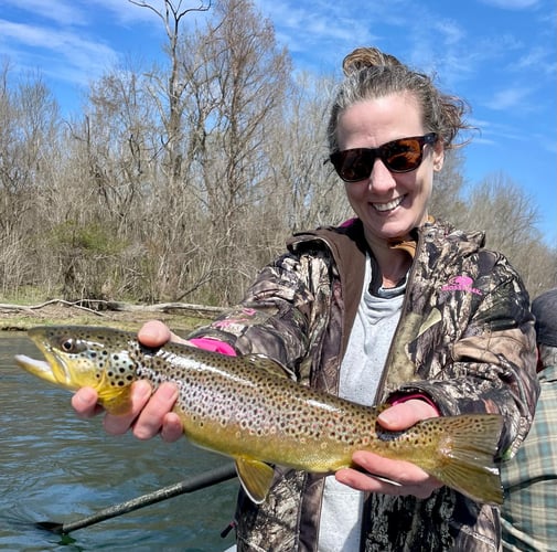 White River Fly Fishing In Cotter