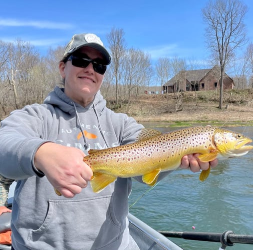 White River Fly Fishing In Cotter