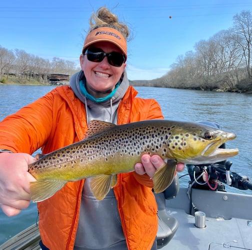 White River Fly Fishing In Cotter