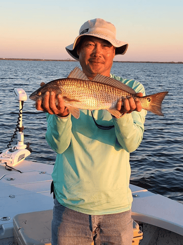 Following The Trout And Reds In Golden Meadow