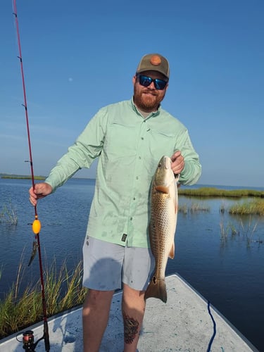 Following The Trout And Reds In Golden Meadow