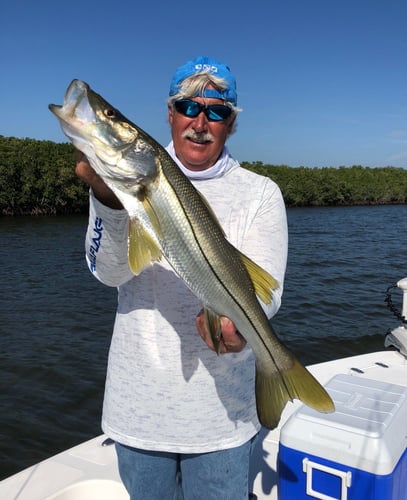 Crystal Clear Inshore Trip in Crystal River