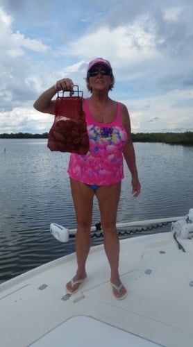 Crystal River Scalloping Trip