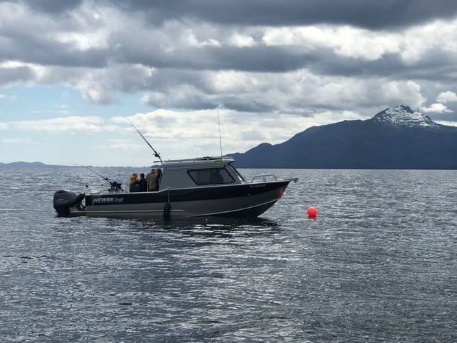 Salmon Trip - 28ft Boat