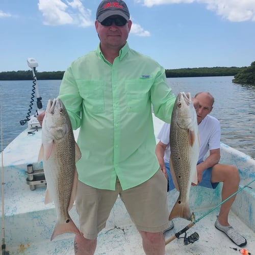 Big Ole Reds, Snook, & Trout