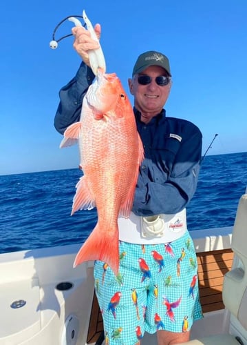 Red Snapper Adventure in Port Isabel