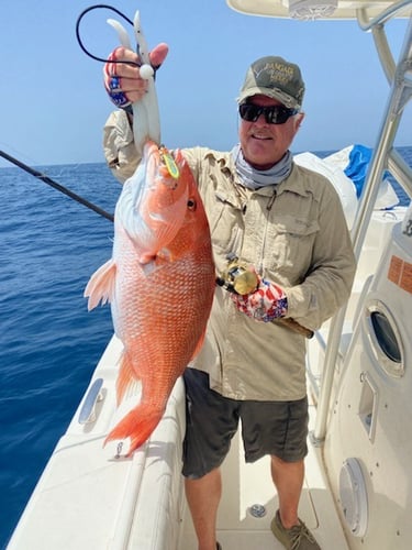 Red Snapper Adventure in Port Isabel