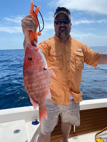 Red Snapper Adventure in Port Isabel