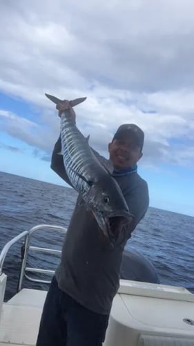 Half Day Offshore Fishing in Port Isabel