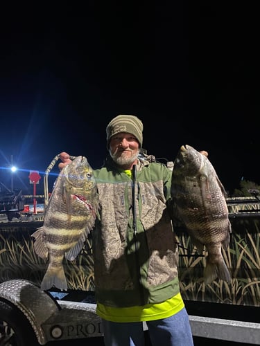 Saltwater Giggin' Trip in Crystal River