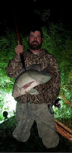 Saltwater Giggin' Trip in Crystal River