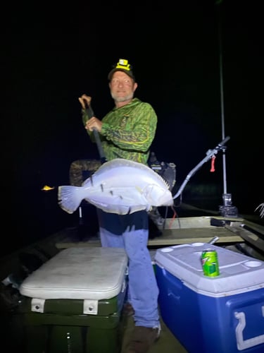 Saltwater Giggin' Trip in Crystal River