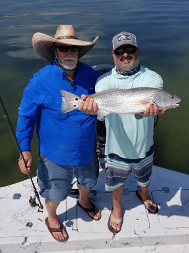 Exploring Manatee County In Bradenton