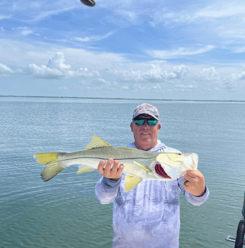 Exploring Manatee County In Bradenton