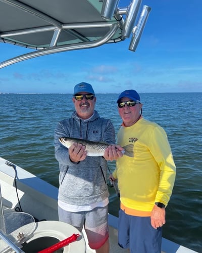 Exploring Manatee County In Bradenton