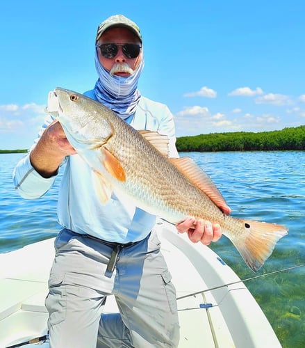 Epic Nature Coast Catch In Crystal River