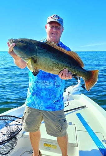 Coastal Catching Fun-21’ Sportsman In Crystal River