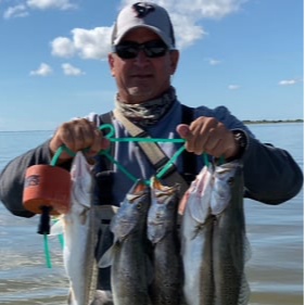 Wade Fishing Frenzy In Galveston
