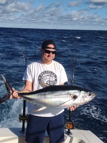 Extended Offshore Tuna